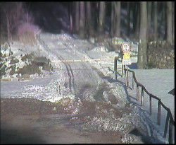 Nástup na běžecké tratě