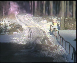 Nástup na běžecké tratě