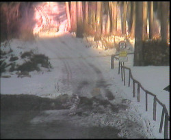 Nástup na běžecké tratě