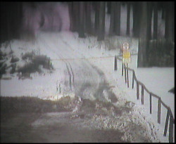 Nástup na běžecké tratě