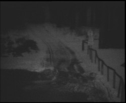 Nástup na běžecké tratě