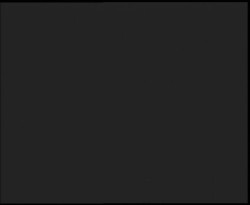 Nástup na běžecké tratě