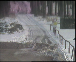 Nástup na běžecké tratě