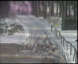 Nástup na běžecké tratě