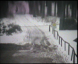 Nástup na běžecké tratě