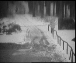 Nástup na běžecké tratě