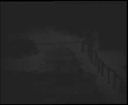 Nástup na běžecké tratě