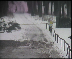 Nástup na běžecké tratě