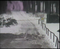 Nástup na běžecké tratě