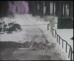 Nástup na běžecké tratě