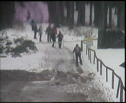 Nástup na běžecké tratě