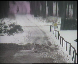 Nástup na běžecké tratě