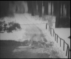 Nástup na běžecké tratě