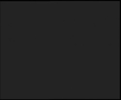 Nástup na běžecké tratě