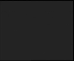 Nástup na běžecké tratě