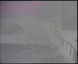 Nástup na běžecké tratě