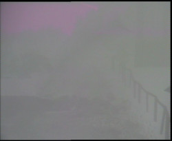 Nástup na běžecké tratě