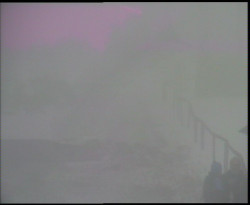 Nástup na běžecké tratě