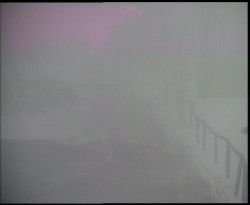 Nástup na běžecké tratě