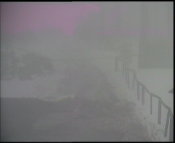 Nástup na běžecké tratě