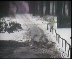 Nástup na běžecké tratě