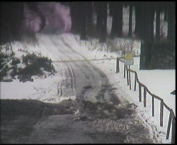 Nástup na běžecké tratě