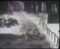 Nástup na běžecké tratě