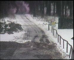 Nástup na běžecké tratě