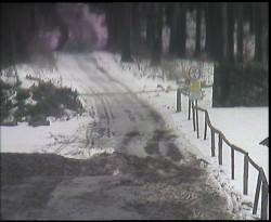 Nástup na běžecké tratě