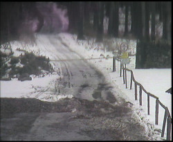 Nástup na běžecké tratě