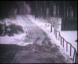 Nástup na běžecké tratě