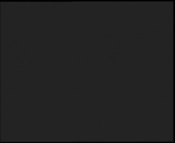 Nástup na běžecké tratě