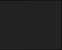 Nástup na běžecké tratě