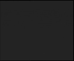 Nástup na běžecké tratě