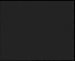 Nástup na běžecké tratě