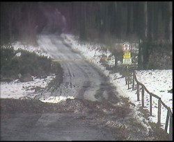 Nástup na běžecké tratě