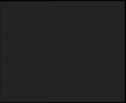 Nástup na běžecké tratě