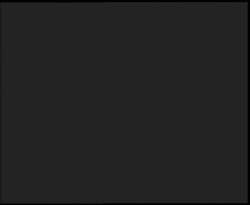 Nástup na běžecké tratě