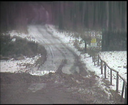 Nástup na běžecké tratě