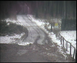 Nástup na běžecké tratě