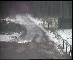 Nástup na běžecké tratě