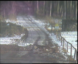 Nástup na běžecké tratě