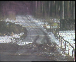 Nástup na běžecké tratě