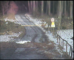 Nástup na běžecké tratě