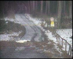 Nástup na běžecké tratě