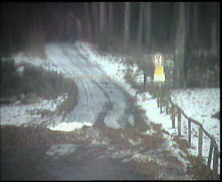 Nástup na běžecké tratě