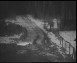 Nástup na běžecké tratě