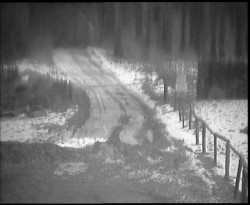 Nástup na běžecké tratě