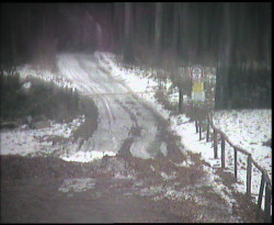 Nástup na běžecké tratě