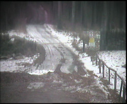 Nástup na běžecké tratě